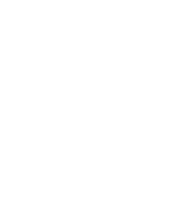Polygon 1