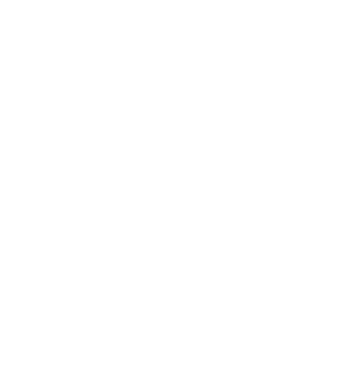 Polygon 2